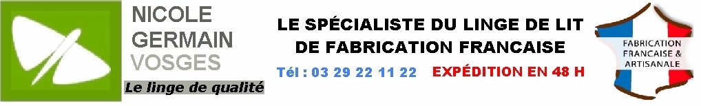 8 ter, place Jules Méline REMIREMONT